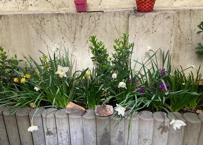 Aparthotel City 5 Praag